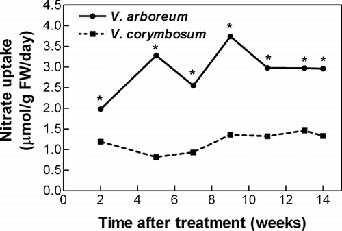 FIGURE 1 Species effect on specific nitrate uptake rate. External iron and nitrate concentrations had no significant effect on uptake rate, thus data are pooled. Asterisks indicate significant differences in uptake rate, p ≤ 0.05 (n = 20).