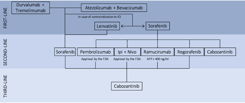 Figure 1 Algorithm for systemic therapy of hepatocellular carcinoma.