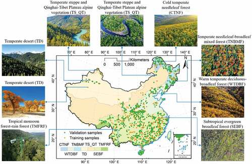 Figure 2. The spatial distribution of validation samples and training samples in seven vegetation zones with a corresponding photo (All photos come from the Internet).