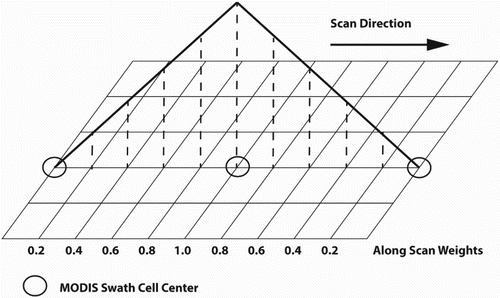 Figure 7. Illustration of swath observation simulation. Landsat pixels are assigned weights from a 5 × 9 grid centered inside the swath pixel and incorporating signal from neighboring pixels. The value for a given pixel is then the weighted average of all Landsat pixels. The simulated swath observation is consistent with the LSF of the MODIS instrument.