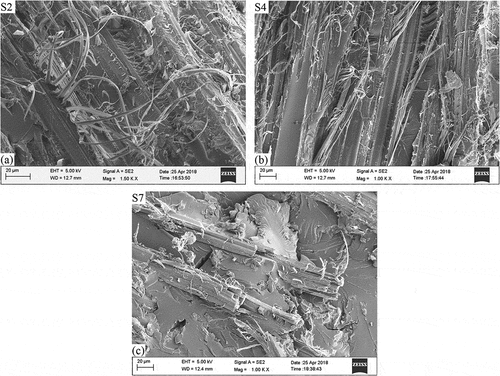 Figure 3. SEM micrographs of the broken samples after tensile test