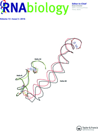 Cover image for RNA Biology, Volume 13, Issue 5, 2016