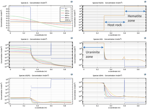 Fig. 11. Variation of spatial distribution of species with time for coexisting uraninite and hematite.