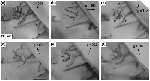 Figure 9. Contrast analysis of dislocations in Mo5Si3 in a [11¯0]MoSi2-oriented specimen of a binary DS eutectic composite deformed at 1000 °C. The diffraction vector (g) used is indicated in each of the images.