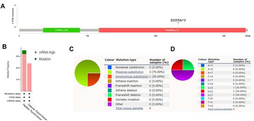 Figure 8 The genetic alteration of CTSH in THCA. (A) Mutation sites. (B) Alteration frequency based on the cancer types. (C) Mutation type. (D) Nucleotide mutation. The data of A and B was obtained from Thyroid Carcinoma (TCGA, Firehose Legacy) dataset (n=397) in cBioportal database. Data of C and D was obtained from COSMIC database.