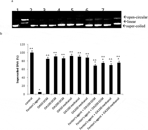Figure 3. Antigenotoxic effects of Octaviania asterosperma extract (50, 100 and 200 µg/ml)