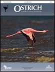 Cover image for Ostrich, Volume 85, Issue 3, 2014