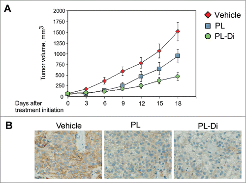 Figure 4. The effect of the treatment with PL and PL-Di on the growth of PNX0010 xenograft tumors. (A) PNX0010 cells were inoculated s.c. in the flank region of 6 week old C.B17/lcr-scid mice. Animals were treated with either PL, PL-Di or vehicle as described in Materials and Methods. Values are means (n = 8) ± SEM. (B) Immunohistochemistry of representative sections of PNX0010 xenograft tumors stained for c-Met protein.