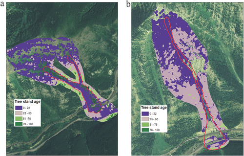 Figure 9. Tree stand age for (a) Shed 7 and (b) Path 1163. The red outline depicts the general outline of the avalanche path. The areas without color associated with a tree stand age represent areas without vegetation classified as forested areas in this study (see Figure 6 for classification).