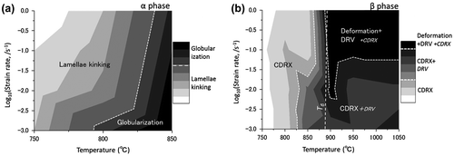 Figure 6. Summary of the microstructural conversion mechanisms as functions of temperature and strain rate after forging in (a) the α phase and (b) the β phase (indicated by contour map). In the contour map, gradation from white level to black level represents that each respective phenomena of microstructural conversion becomes more dominant.