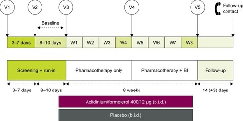 Figure 1 Study design.