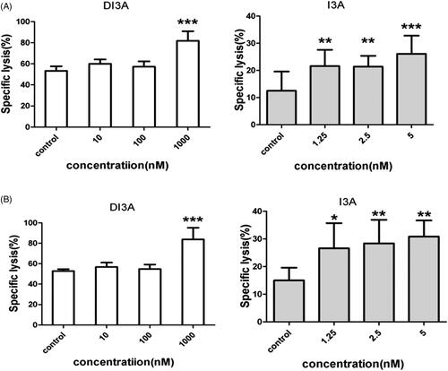 Figure 7. Cytotoxicity enhancing effects of DI3A and I3A on NK cells. (A) H1299 cells or (B) H1975 cells were co-cultured with NK cells at the E: T ratio of 1:1. Then cells were treated with DI3A or I3A at the indicated concentrations. Lysis was assessed using calcein release assay after 4 h incubation. Data shown represent means ± SD, *p < 0.05; **p < 0.01.