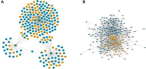 Figure 5 The network for metabolism/autophagy related genes modified by key AAA-related m6A regulators.