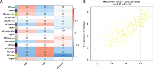 Figure 4 Identification of key modules associated with monocytes. (A) correlation between monocytes and different gene modules; (B) scatter plot of genes in yellow module.