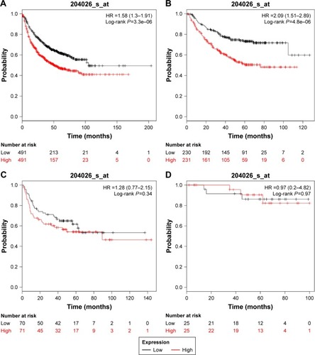 Figure 4 Kaplan–Meier survival curves showing the first progression survival based on the expression of ZWINT.