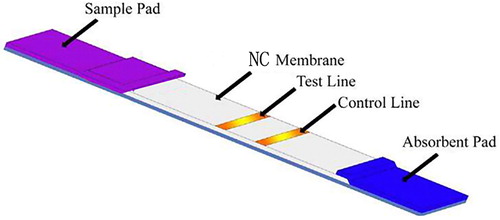 Figure 1. Test strip.