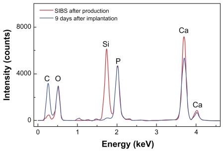 Figure 11 EDXS spectrum analysis of SIBS after production and 9 days after implantation. Silicon disappears 9 days after implantation and calcium increases, indicating a rapid matrix change with bone formation.Abbreviation: EDXS, energy-dispersive X-ray spectroscopy.