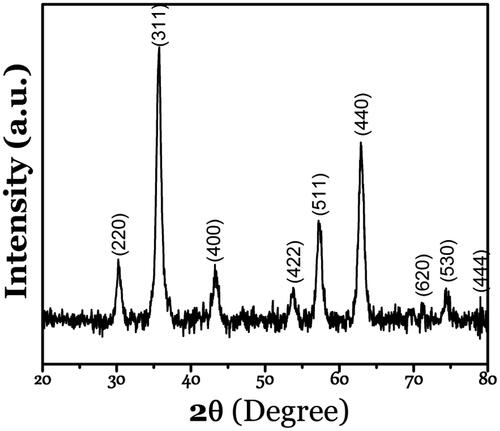 Figure 1. XRD pattern of the synthesized magnetite nanoparticles.