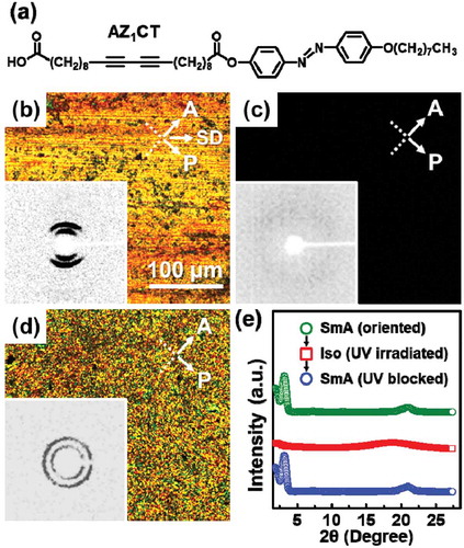 Figure 4. Chemical structures of amphiphilic supramolecules of AZ1CT (a). POM images and 2D WAXD patterns (inset) of macroscopically oriented sample (b), light-induced isotropic state (c), and the ordered sample with multidomains (d). The 1D WAXD patterns of AZ1CT (e). Reproduced with permission [Citation48].