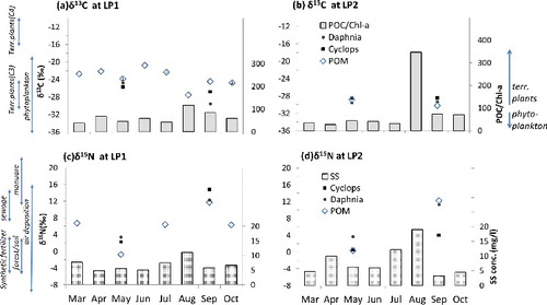 Figure 4. Temporal variations in carbon and nitrogen stable isotope compositions of POM and zooplankton, POC/Chl a values (a and b), and SS concentration (c and d). Typical ranges for potential sources are added in the vertical axis. The data are modified from Meybeck et al. (Citation1988); Riemann et al. (Citation1989); Kendall et al. (Citation2001); Dawson et al. (Citation2002); Finlay & Kendall (Citation2007).