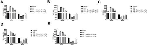 Figure 4 Effect of Gossypin on the cardiac parameters in serum and heart tissue of ISO induced MI rats. (A) CK-MB, (B) LDH, (C) CK, (D) CTn-I and (E) CTn-T. Values are presented as mean± standard error mean (SEM). Where *P<0.05, **P<0.01 and ***P<0.001 were consider as significant, more significant and extreme significant. All group contains 6 rats.