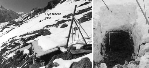 FIGURE 2. Left: View of the experimental site at Gd St Bernard, (2450 m a.s.l.) at the beginning of the winter. Runoff measurement installations in the front. Right: Example of an excavated profile on 14 May 2001 from which the flow pattern of the stained meltwater was analyzed