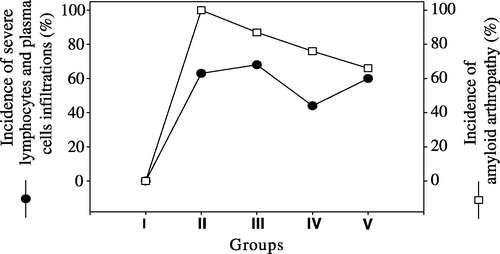Figure 4. Lymphocytes and plasma cells infiltration rates (•) and amyloid arthropathy occurrence rates (□) in joints in five groups. I, negative control group; II, vitamin A group; III, positive control group; IV, pentoxyflline group; V, methylprednisolone group.