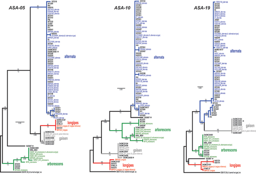 Fig. 1 Maximum likelihood trees constructed from each of the three new candidate markers ASA-05, ASA-10, and ASA-19. Phylogenetic tree branches are colour-coded by main lineage (blue = alternata, red = longipes, green = arborescens, grey = gaisen). Taxa from the independent test set have taxon labels in bold and black. Taxa that were included in our previous phylogenomic analyses have colour-coded taxon labels, and strain names are followed by lineage names. Taxon labels with asterisks indicate strains that fell outside of the four main lineages, or have conflicting placement among the three loci. Branch support values are indicated above (ML bootstrap percentage) or below (Bayesian posterior probability) branches.