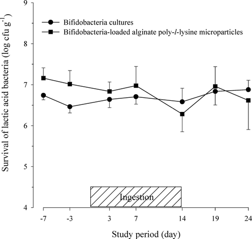 FIG. 2 Viability of lactic acid bacteria in feces after the oral administration of protected bifidobacteria-loaded alginate poly-l-lysine microparticles in healthy human volunteers.