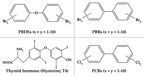 Figure 1. Structural comparison of PBDEs, PBBs, PCBs, and thyroxine hormone