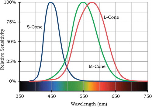 Fig. 4 Net relative spectral sensitivity of the human eye’s three cone cell types.