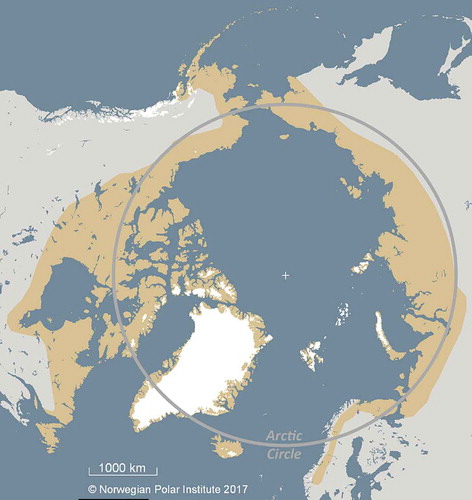 Figure 1. Circumpolar distribution of the Arctic fox (modified from Angerbjörn & Tannerfeldt Citation2014).