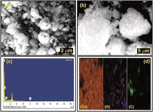 Figure 3. SEM images and EDX spectrum of CuO/rGO Nanocomposite.