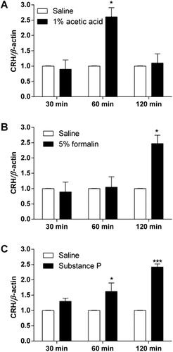 Figure 2. CRH mRNA expression in the hippocampus in various types of pain model. Mice were injected with (A) 1% acetic acid (i.p.), (B) 5% formalin (intraplantar injection into the hindpaw) or (C) substance P (0.7 μg, i.t.). The hippocampus was dissected at 30, 60, and 120 min after drug administration and CRH mRNA level was measured by real-time PCR method. The bars indicate the standard error of the mean. The number of animal used in each group was eight (*p < 0.05 and ***p < 0.001, compared with saline-treated group each time point).