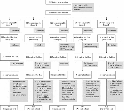 Figure 1. Profile of the clinical trial