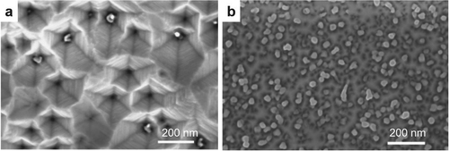 Figure 6. FE-SEM characteristic images GaN NWs (a) AlN buffer layer thickness 60 nm, (wire density 5 numbers/mm2) (b) AlN buffer layer thickness 80 nm–100 nm, (wire density 160 numbers/mm2). Figures reproduced with permission from Ref. [Citation33], Copyright © 2016, Elsevier.