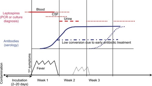 Figure 3 Basic principles underlying the biological diagnosis of leptospirosis.
