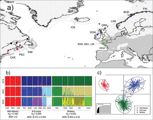 Fig. 1. Sampling of Laminaria digitata and genetic structure inferred from multi-locus microsatellite genotypes. (a) Sampling locations coloured according to genetic structure (see below). Black dots (NW Atlantic) indicate misidentified collections of Hedophyllum nigripes. Modern shorelines (black solid lines) are superimposed over emerged unglaciated (grey areas) and glaciated (ice sheets, white patterns) landmasses at the time of the LGM. The dotted line is an approximation of perennial sea-ice during the LGM. (b) Hierarchical structure plots assuming K=3 (top), K=5 (middle) and K=9 (bottom) genotypic clusters. Selected regional diversity indices are shown at the bottom. Different colours represent percentage ancestry of each genotyped individual (vertical bars). (c) Discriminant Analysis of Principal Components (DAPC) scatter plot (K=3) based on the same individual multi-locus genotypes, coloured according to the regions defined in (b). Note the congruence between analyses