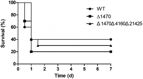 Figure 8. Survival of mice infected with the V. parahaemolyticus strains. No significant difference in survival rates was observed between the groups.