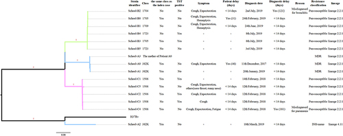 Figure 3 Maximum-likelihood tree of 15 strains annotated with epidemiological characteristics related to drug resistance. Branches are colored by different schools. MDR, rifampicin and isoniazid resistant. INH-mono, rifampicin susceptible and isoniazid resistant. Pan-susceptible, rifampicin and isoniazid susceptible. Patients A0 and B0 were index cases.