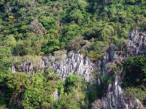 Figure 19 Nui Hong Chong, the habitat ofAnonyxmolytes lilliput gen. n., sp. n. (photo Deharveng).