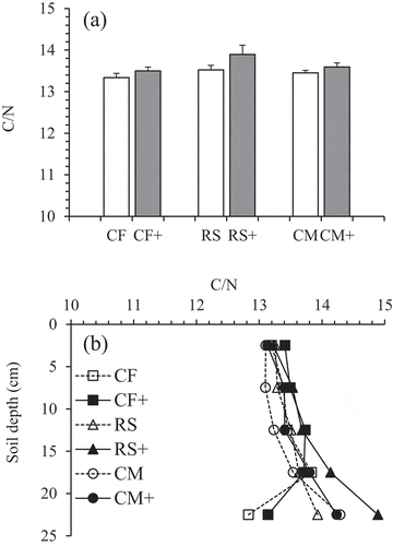 Figure 6. Long-term effects of mineral slag additions on the changes in the C/N ratio at the 0–25 cm soil depth (a) and 5-cm soil depth increments (b). Bars are standard deviation (n = 3).