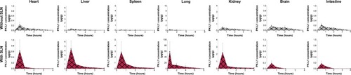 Figure 4 Concentration–time profiles in organs after intravenous administration of amsacrine analog with or without SLN at dose 8.4 mg/kg in mice.