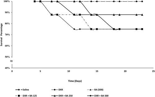 Figure 7. Effects of BAs 125, 250 & 500 mg/kg on the survival rates. Values were analyzed by Kaplan–Meier analysis, using Log-Rank test; n = 8 mice/group. The mean difference was statistically significant at p < 0.05.