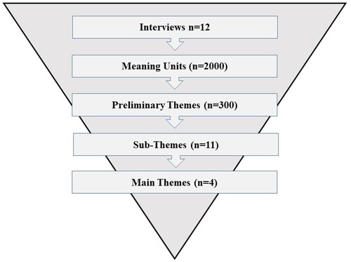 Figure 1. Overview of the data analysis process.