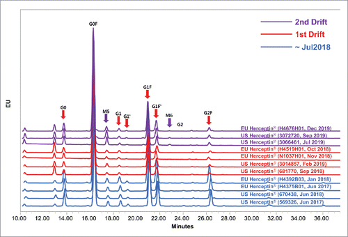 Figure 4. Representative N-glycan chromatograms of Herceptin® via expiry date. After August 2018, the level of afucosylated and galatosylated glycan deceased (red arrows) and after June 2019 the level of high-mannose increased (violet arrows).