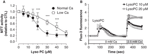 Figure 3. Involvement of extracellular calcium in the lysoPC-induced cell death. (A) Dose-response curve of MTT activity (relative to control without lysoPC) following 48-h exposure to increasing concentrations of lysoPC in serum-free medium with low 0.25 mM calcium concentration or normal 1 mM calcium concentration. Values are mean ± SEM of five independent experiments in triplicates. Bonferroni post test: ***p < 0.001 when compared to condition with nomal 1 mM calcium. (B) Fluo-3 loaded cells were transferred to HBSS without calcium and then lysoPC (10 or 20 μM) were added to the incubation medium. Thereafter, calcium was added to the incubation buffer to determine calcium influx. Fluo-3 fluorescence values relative to basal fluorescence are showed as mean ± SEM of 3–5 experiments with analyses of 7–8 fields per experiment (between 10 and 20 cells per field).