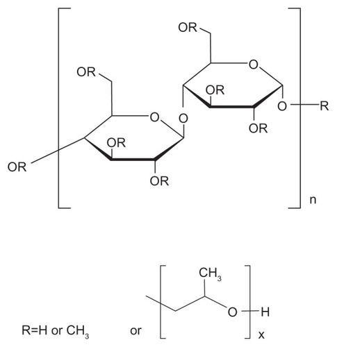 Figure 4C Molecular structure of HPMC
