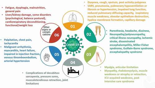 Figure 1. Symptoms and signs of coronavirus disease 19 (Covid-19) and some acute/chronic complications linked with Covid-19 in the cardiorespiratory and neuro-muscular chain.