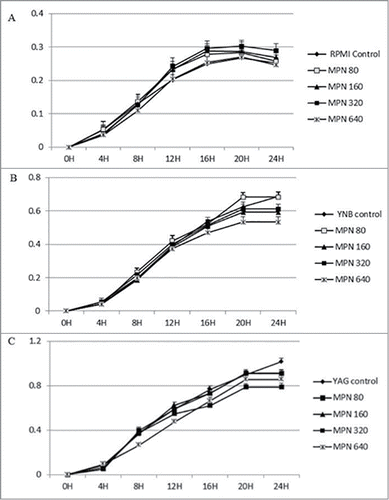 Figure 3. Continuous growth measurement of R. arrhizus in the presence of 0 (control), 80, 160, 320 and 640 ng/ml for MPN under standard atmosphere in RPMI (A), YNB (B) and YAG (C). No promotion of growth was observed (P value > 0.05, t Student non parametric test).